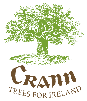 Crann Trees For Ireland